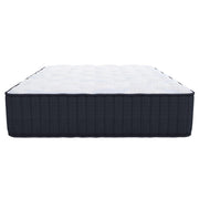 The Signature Collection Hartwell Plush Mattress by Southerland