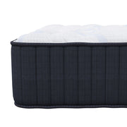 The Signature Collection Hartwell Plush Mattress by Southerland