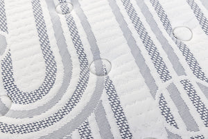 Carnation Euro Top Mattress by Therapedic