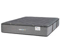 Therapedic Immunity Cinnamon Firm mattress