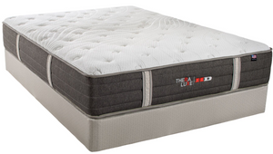 CLEARANCE TheraLuxe HD Jackson Heavy Duty Firm Queen Mattress set By Therapedic